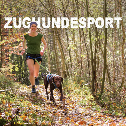 Zughundesport bei Simply Outside